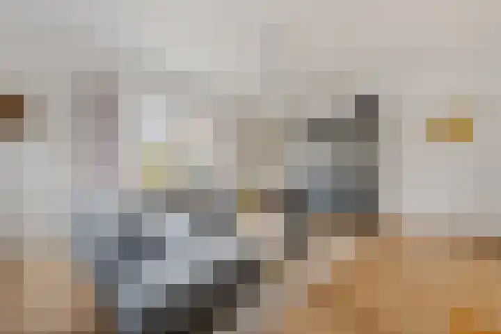 Wernerlaan 29 Hilversum thumbnail 19