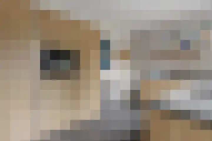 Wernerlaan 29 Hilversum thumbnail 21