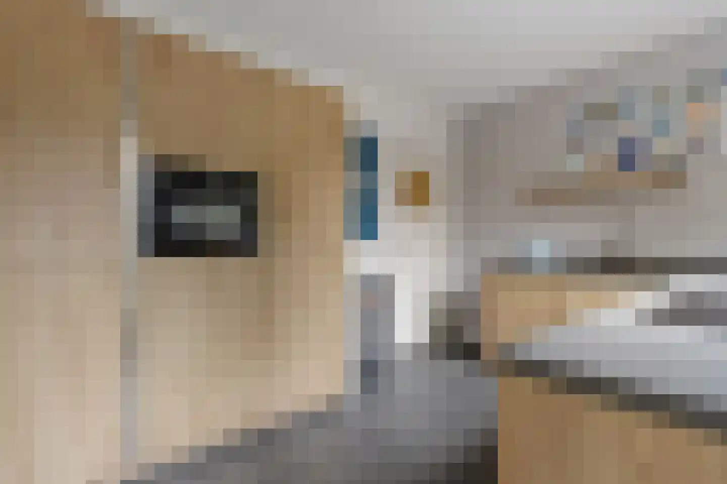 Wernerlaan 29 Hilversum thumbnail 21