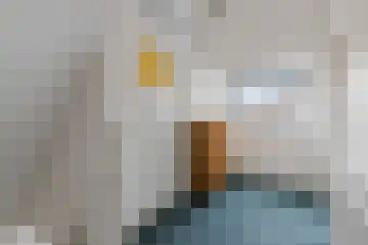 Wernerlaan 29 Hilversum thumbnail 23