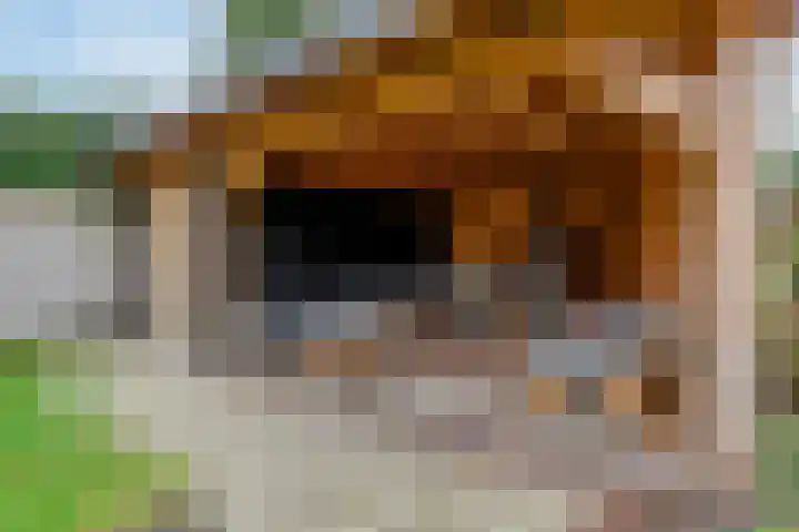 Wernerlaan 29 Hilversum thumbnail 44