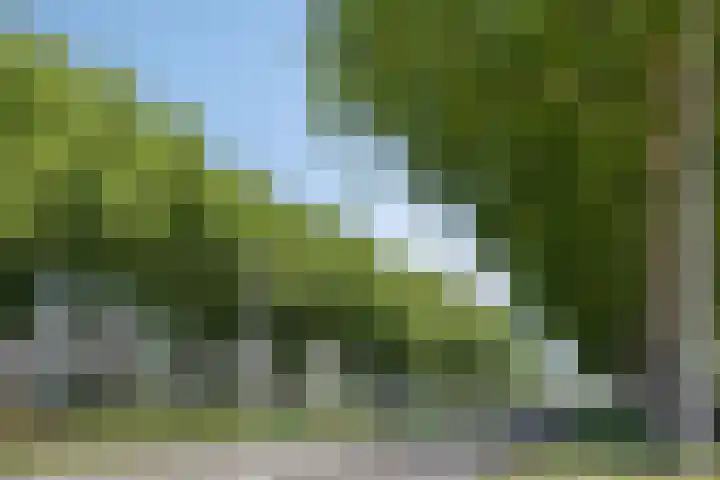 Wernerlaan 29 Hilversum thumbnail 57