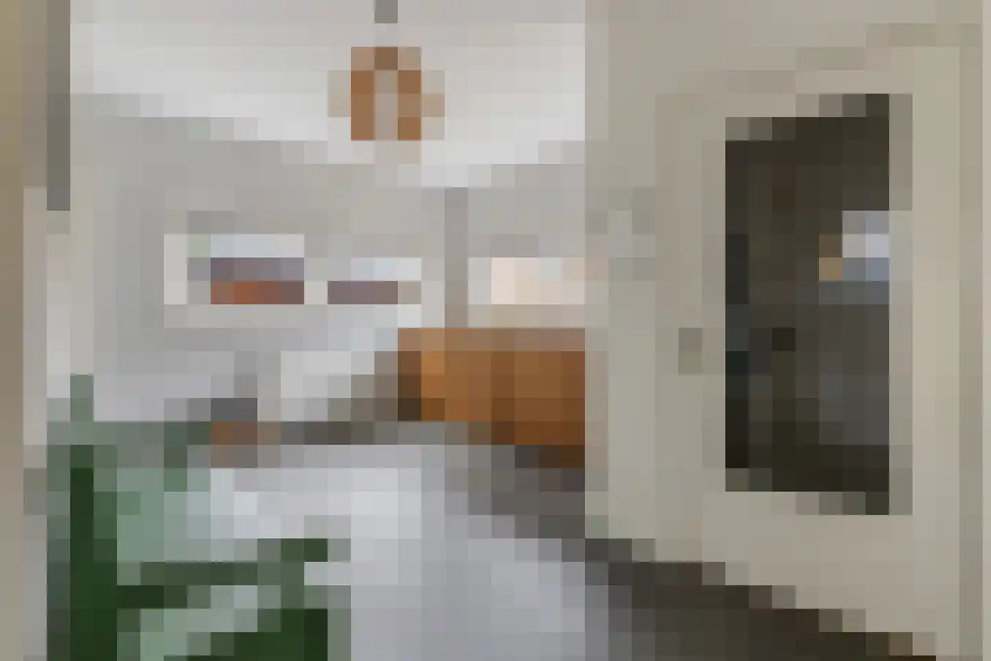 Wernerlaan 29 Hilversum thumbnail 6