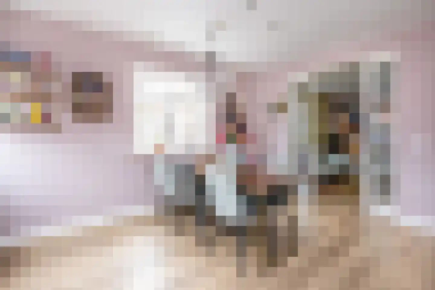 Wernerlaan 39 Dirksland thumbnail 12