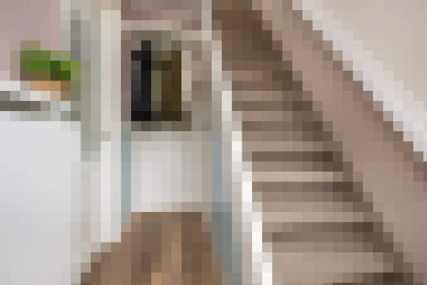 Wernerlaan 39 Dirksland thumbnail 17