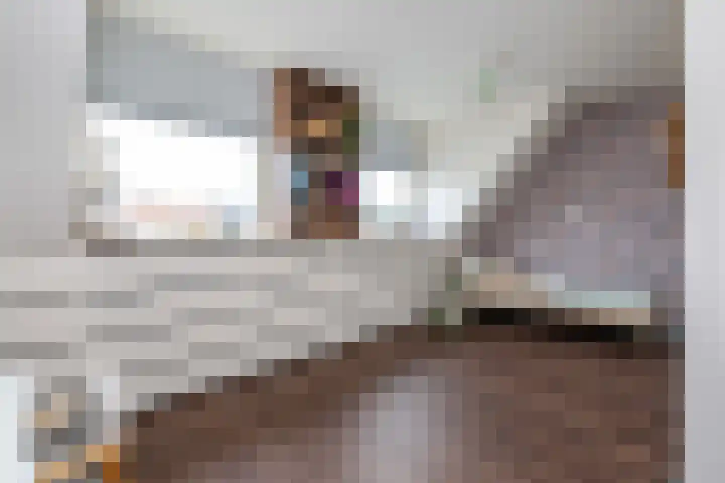 Wernerlaan 39 Dirksland thumbnail 22