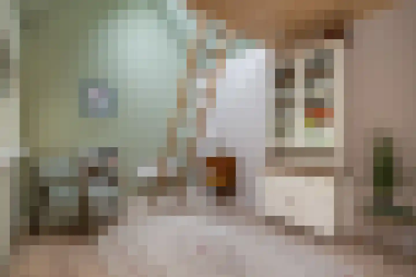 Wernerlaan 39 Dirksland thumbnail 27