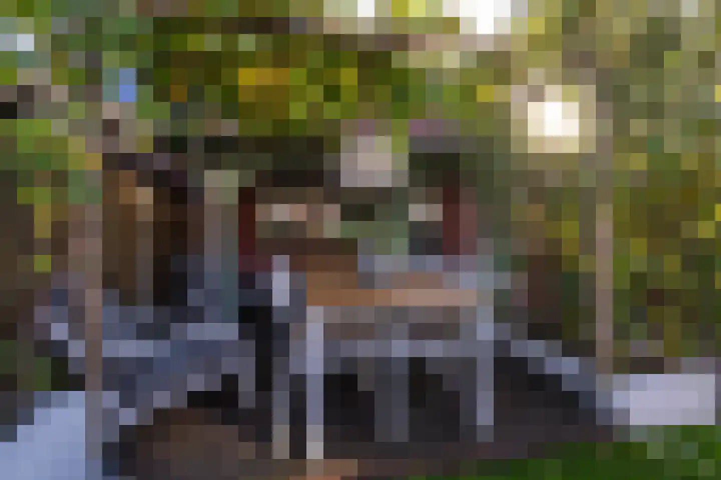 Wernerlaan 39 Dirksland thumbnail 30