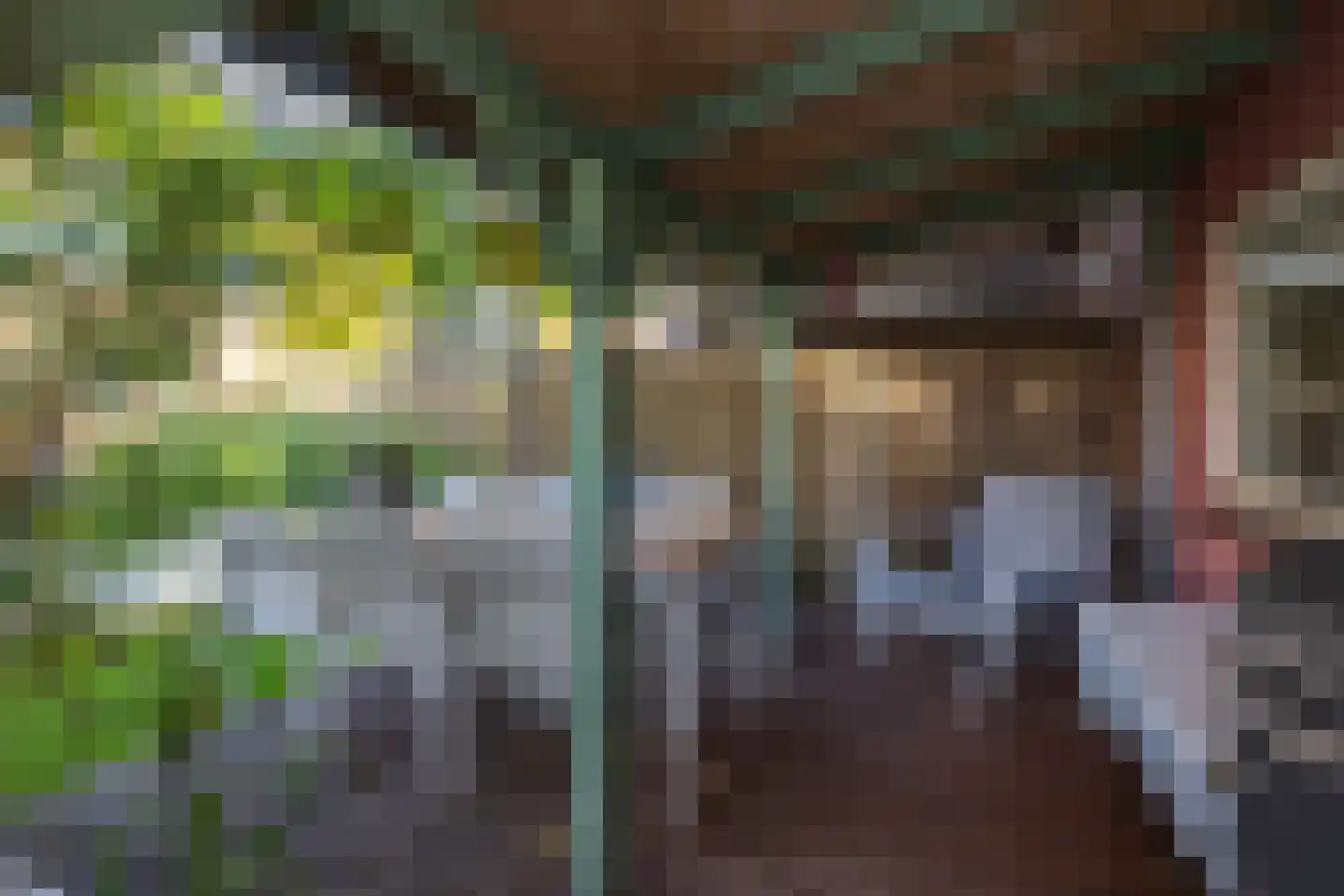 Wernerlaan 39 Dirksland thumbnail 31
