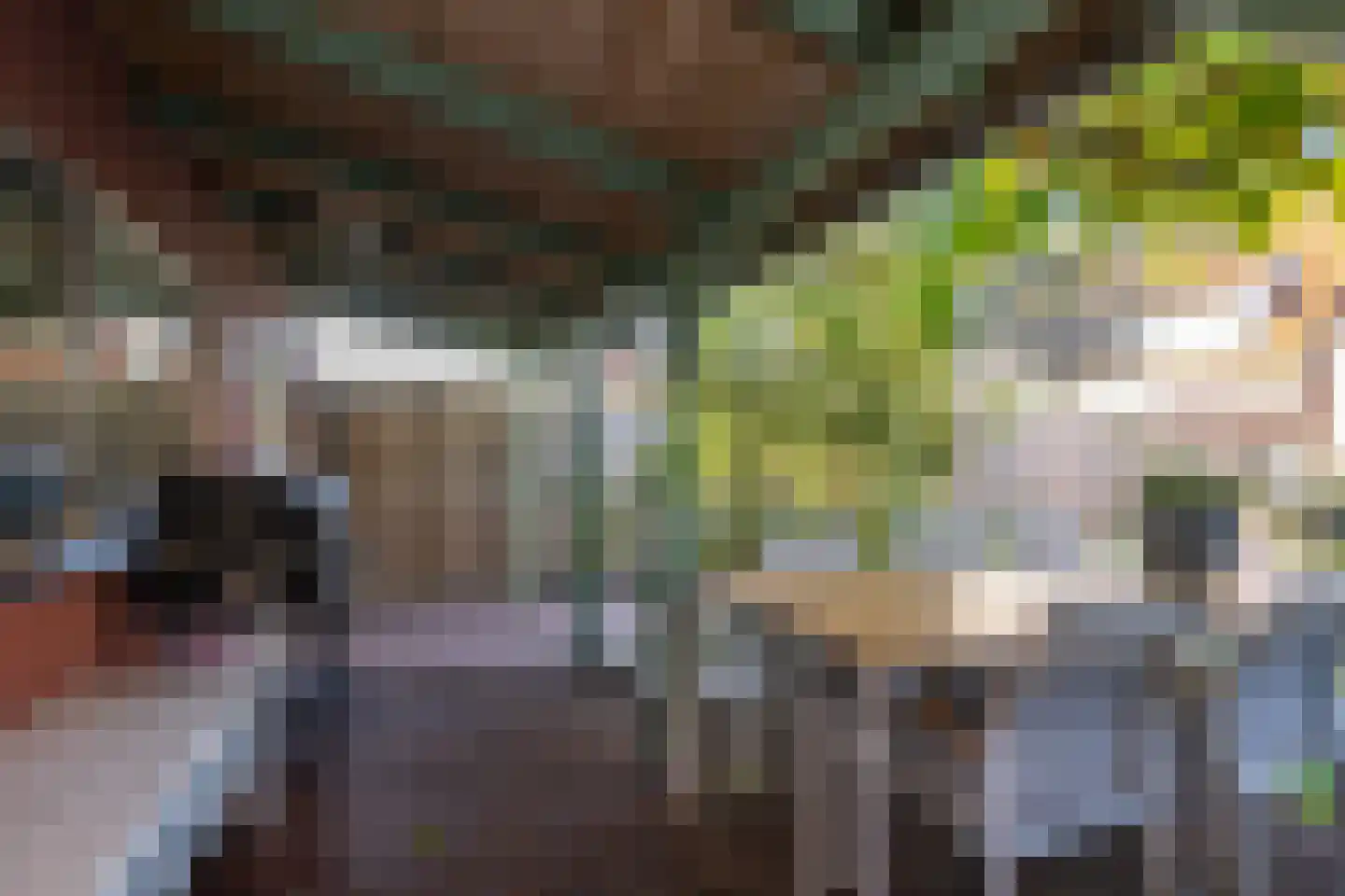Wernerlaan 39 Dirksland thumbnail 32