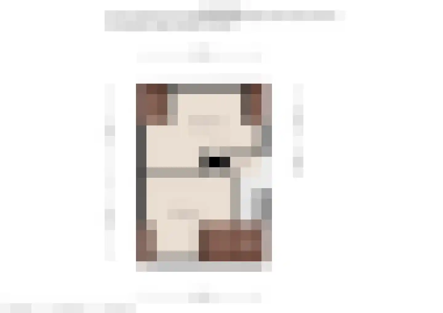 Wernerlaan 39 Dirksland thumbnail 37