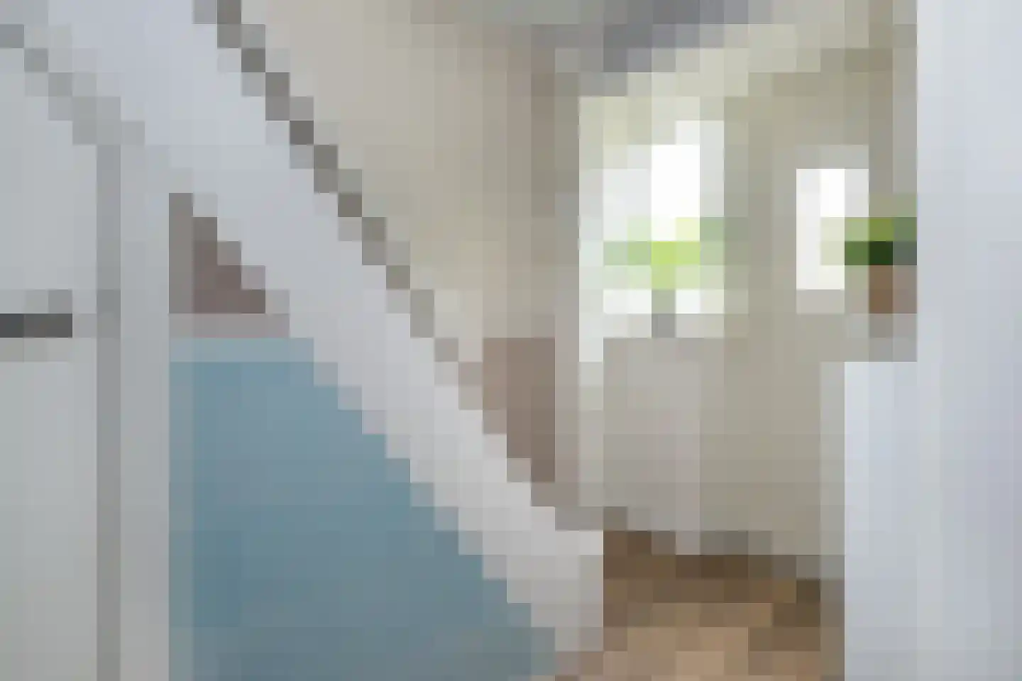 Wernerlaan 39 Dirksland thumbnail 5