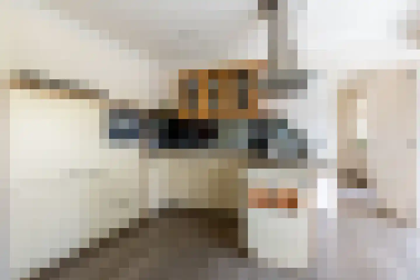 Wernhoutseweg 159 Wernhout thumbnail 14