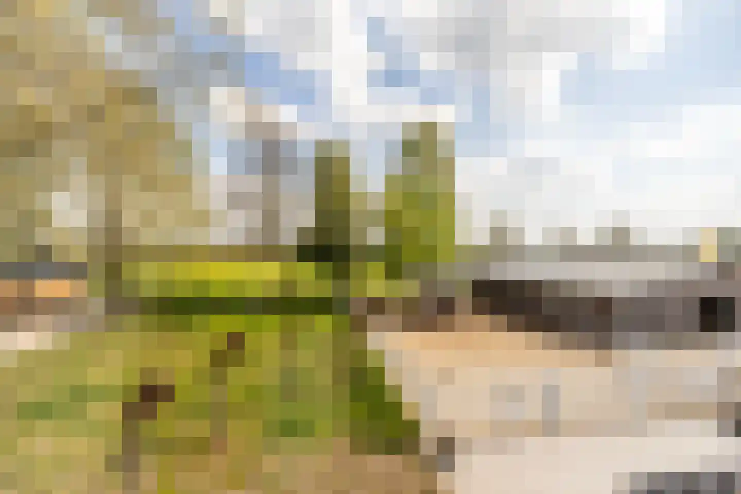 Wernhoutseweg 159 Wernhout thumbnail 35