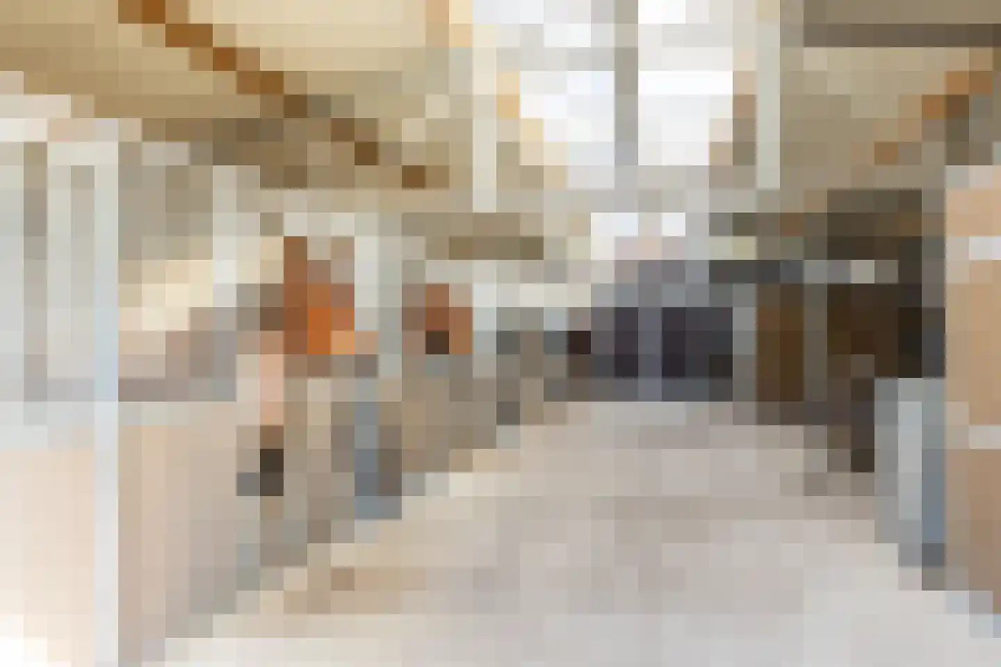 Wernhoutseweg 159 Wernhout thumbnail 7