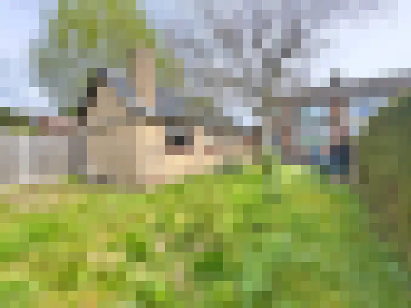 Wernhoutseweg 30 a Zundert thumbnail 17