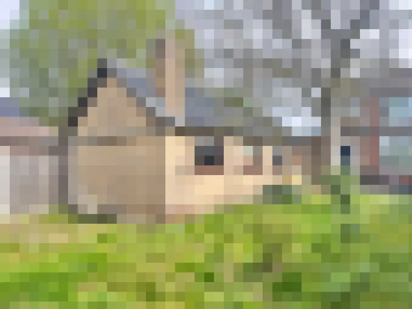 Wernhoutseweg 30 a Zundert thumbnail 4