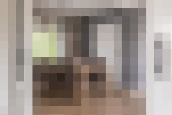 Wernhoutseweg 30 e Zundert thumbnail 11