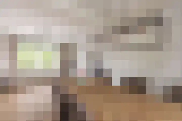 Wernhoutseweg 30 e Zundert thumbnail 13