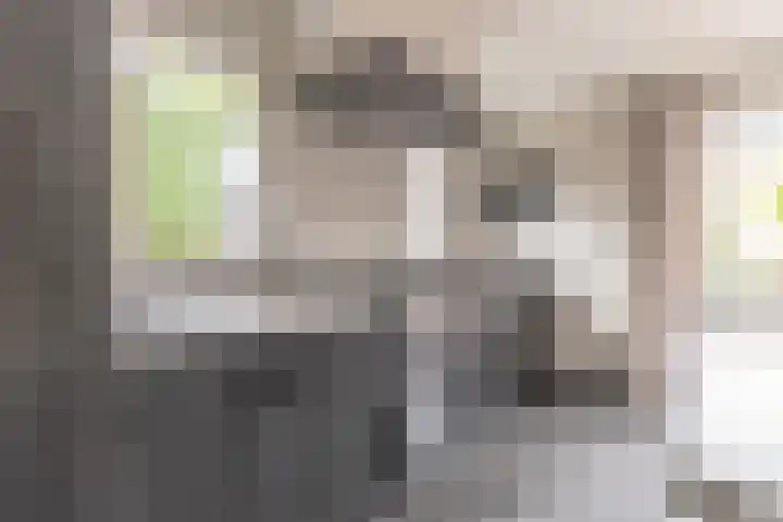 Wernhoutseweg 30 e Zundert thumbnail 16
