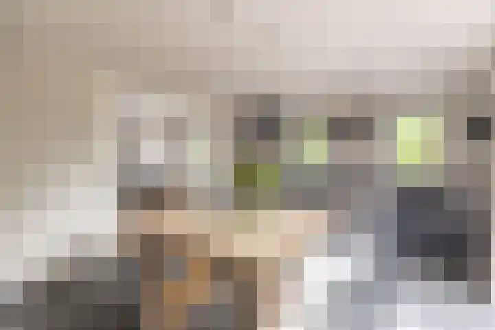 Wernhoutseweg 30 e Zundert thumbnail 17