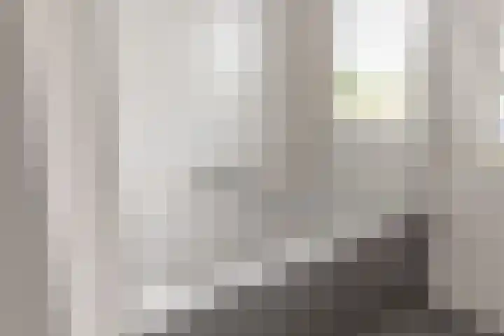 Wernhoutseweg 30 e Zundert thumbnail 32