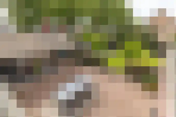 Wernhoutseweg 30 e Zundert thumbnail 38