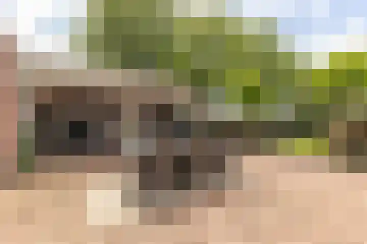Wernhoutseweg 30 e Zundert thumbnail 39
