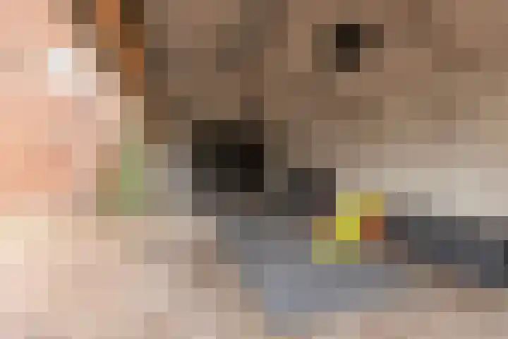 Wernhoutseweg 30 e Zundert thumbnail 40