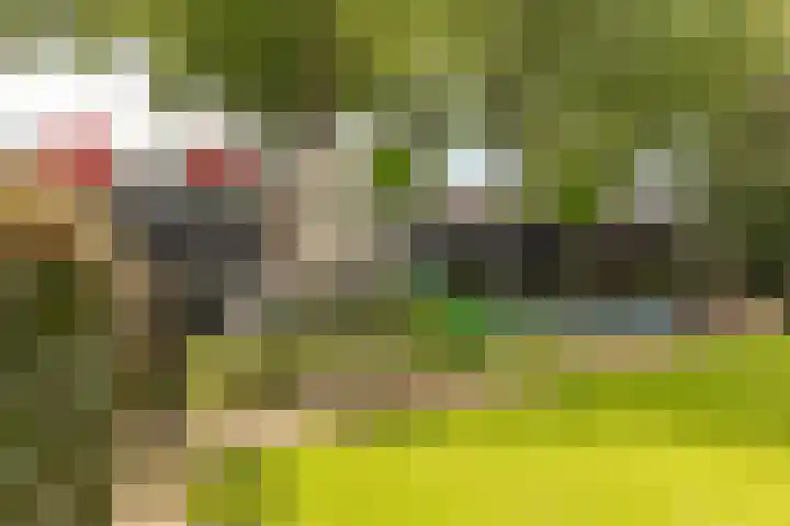 Wernhoutseweg 30 e Zundert thumbnail 43
