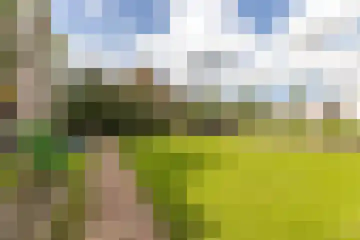 Wernhoutseweg 30 e Zundert thumbnail 45