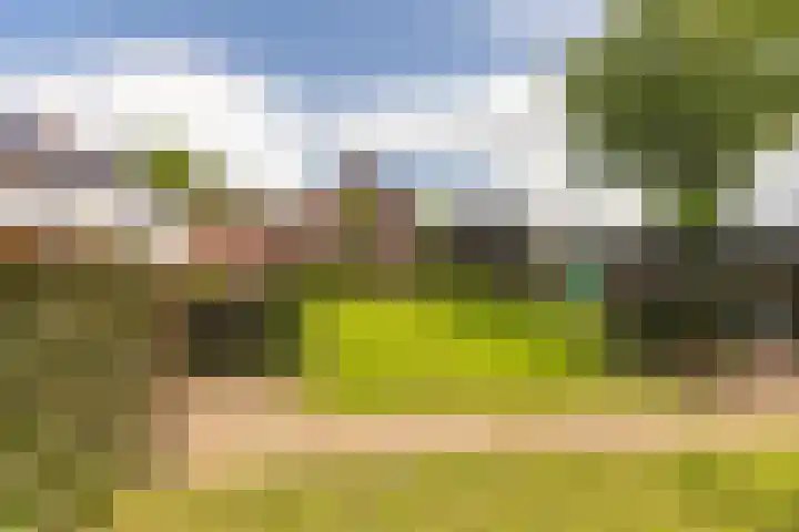 Wernhoutseweg 30 e Zundert thumbnail 5
