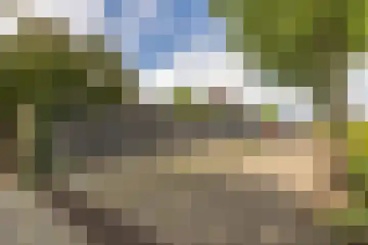 Wernhoutseweg 30 e Zundert thumbnail 53