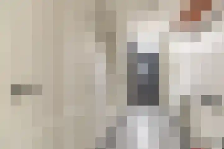 Wernhoutseweg 30 e Zundert thumbnail 6