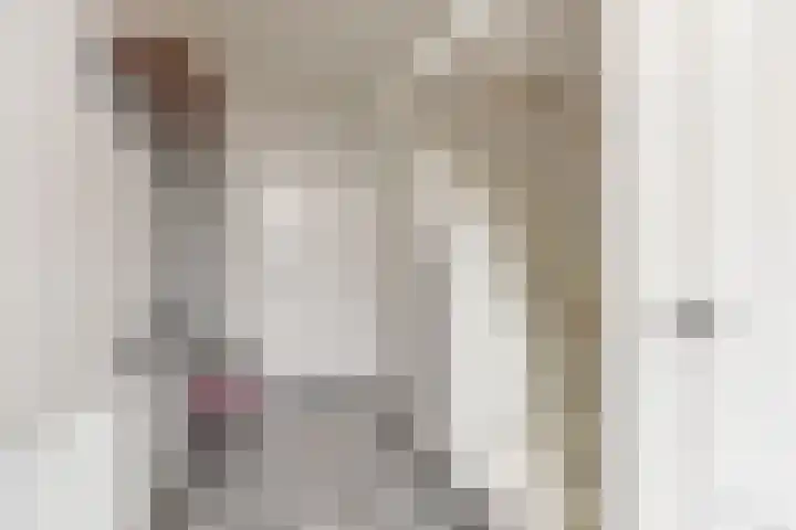 Wernhoutseweg 30 e Zundert thumbnail 7