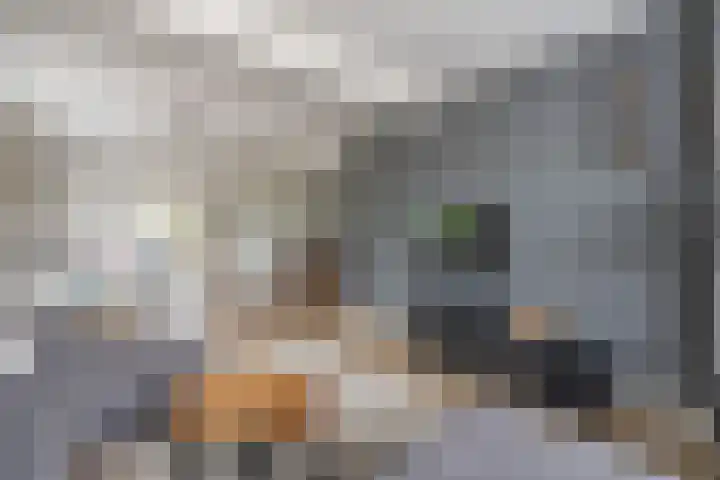 Wernhoutseweg 30 e Zundert thumbnail 9