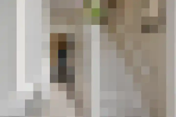 Wernhoutseweg 30 Zundert thumbnail 10