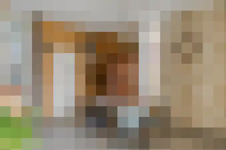 Wernhoutseweg 30 Zundert thumbnail 16