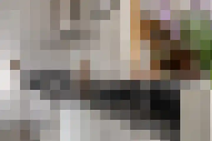 Wernhoutseweg 30 Zundert thumbnail 18