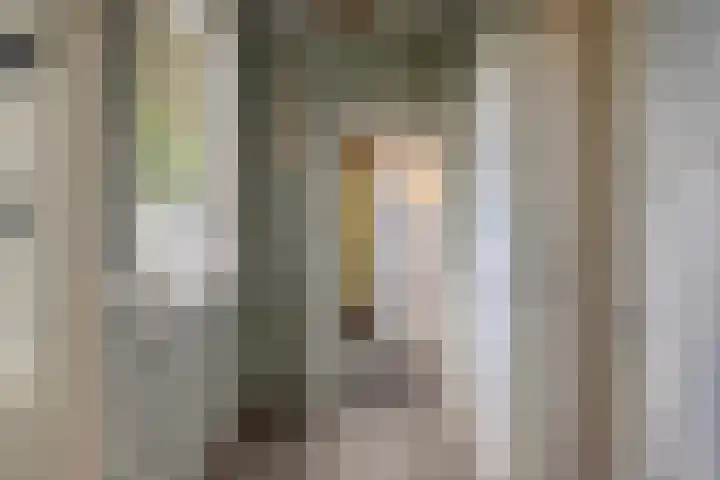 Wernhoutseweg 30 Zundert thumbnail 21