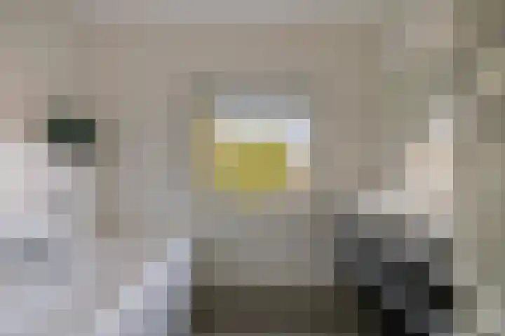 Wernhoutseweg 30 Zundert thumbnail 33