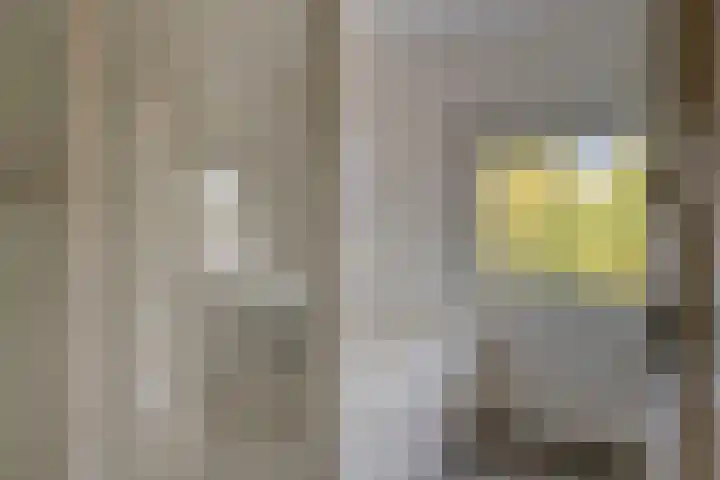 Wernhoutseweg 30 Zundert thumbnail 34