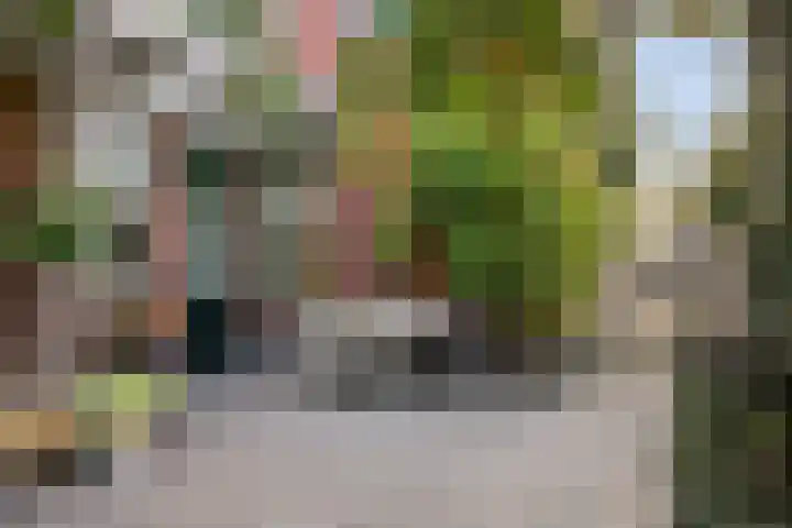 Wernhoutseweg 30 Zundert thumbnail 37