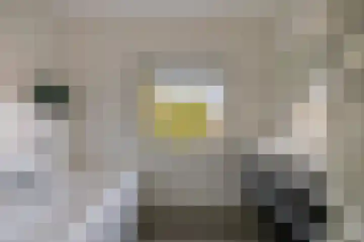 Wernhoutseweg 30 Zundert thumbnail 4