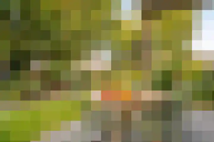 Wernhoutseweg 30 Zundert thumbnail 41