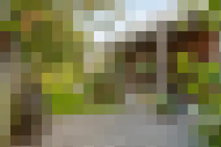 Wernhoutseweg 30 Zundert thumbnail 43