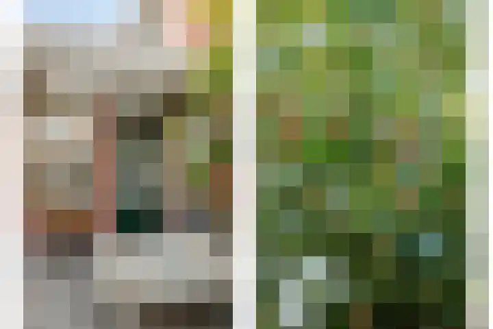 Wernhoutseweg 30 Zundert thumbnail 44