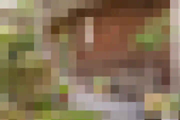 Wernhoutseweg 30 Zundert thumbnail 45