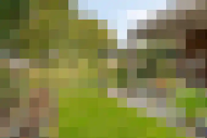 Wernhoutseweg 30 Zundert thumbnail 46