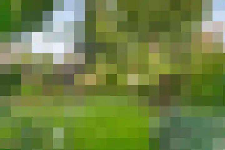 Wernhoutseweg 30 Zundert thumbnail 47